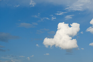 Wall Mural - the white clouds have a quaint and rural shape. the sky is cloudy and blue