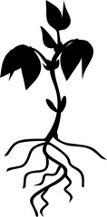 Poster - Black silhouette of sprout of bean plant with leaves and root system isolated on white background