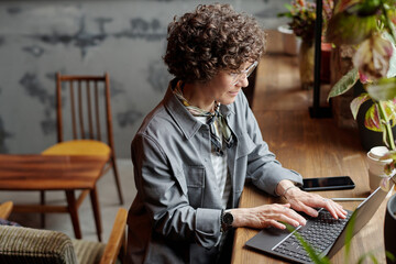 Poster - Serious middle aged businesswoman or freelancer with laptop sitting in front of window in cafe, typing on keyboard and looking at screen