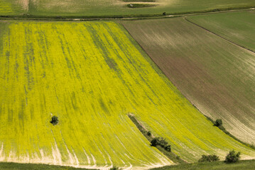 Wall Mural - Summertime in Castelluccio di Norcia