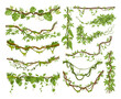 Cartoon jungle liana plants, tropical climbing creepers branches. Exotic plants with moss, flowers and jungle leaves vector illustrations set. Rainforest liana branch vines