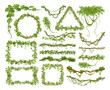 Cartoon tropical liana plants, climbing creepers branches. Jungle hanging liana wild plants, green foliage lianas frames vector illustration set. Rainforest liana collection