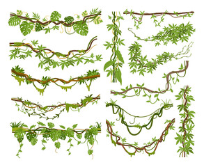 cartoon jungle liana plants, tropical climbing creepers branches. exotic plants with moss, flowers a