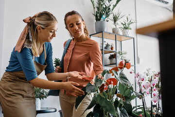 Smiling woman choosing flower with help of florist at flower shop.