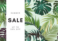 Hawaiian Floral Design With Monstera Palm Leaves. Exotic Tropical Summer Vector Background.