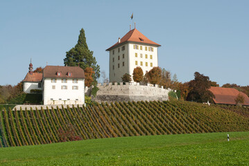 Wall Mural - Schweiz, Kanton Luzern, Schloß Heidegg im Herbst