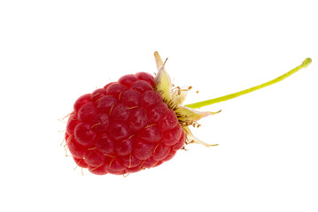 Wall Mural - wild raspberry isolated