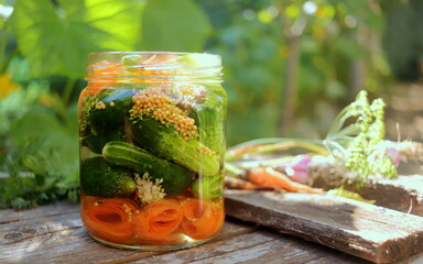 pickled appetizing cucumbers in a glass jar against the background of a summer garden selective and soft focus, homemade pickled vegetables