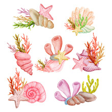 Watercolor Set Of Summer Sea Creatures