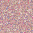 © Ruth - SEAMLESS VECTOR PATTERN boho rose western arrow floral hand drawn flowers in dusty pink and purple. Modern  classic with textural layers
