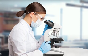 Wall Mural - female young scientist working in the lab