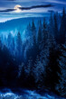 coniferous forest at foggy night. trees at the foot of a hill in full moon light. blue sky with fluffy clouds. idyllic countryside scenery
