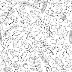 Wall Mural - Seamless pattern falling leaves, acorns, berries, cones, mushrooms. Vector autumn texture, isolated, hand drawn in doodle style, black outline. Concept of forest, leaf fall, nature, thanksgiving