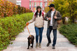 © NFstock - Full length view of the caucasian couple in love walking along the street with brown Labrador breed dog with orange leash. Cloudy, warm autumn weather