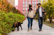 © NFstock - Portrait of a young couple walking with their dog on a city street while holding hands of each other. Pets and owners concept