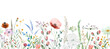 Seamless border made of watercolor wildflowers and leaves, wedding and greeting illustration