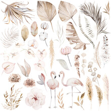 Watercolor Set With Flamingo Birds, Dried Leaves And Tropical Orchid Flowers Illustration Set