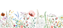 Seamless Border Made Of Watercolor Wildflowers And Leaves, Wedding And Greeting Illustration