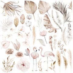 Wall Mural - Watercolor set with flamingo birds, dried leaves and tropical orchid flowers illustration set