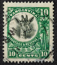 Tanganyika - Circa 1922 1925: A Stamp Printed In Tanganyika Shows The Head Of A Giraffe, Circa 1922 1925.