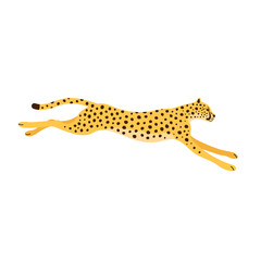 Sticker - Vector flat jumping cheetah isolated on white background