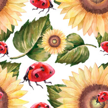 Watercolor Ladybug Sitting On A Sunflower With Leaf Seamless Pattern
