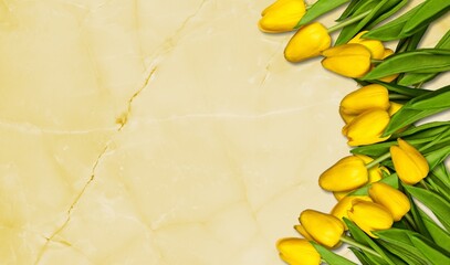 Poster - A stack of tulips on a texture desk. A ready place for your invitation text.