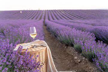 Wall Mural - Glass of white wine in a lavender field. Violet flowers on the background.