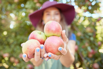 Wall Mural - Closeup of a female holding apples outside on a farmer. Woman selling fruit at a market in town. Autumn harvest at an agriculture festival. Eco friendly products in a warm atmosphere.