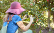 © Jade M/peopleimages.com - Farmer and tourist capturing pictures of fruit for harvest. One woman taking photos on a phone for social media of fresh ripe apples growing on trees in a sustainable orchard outside from the back.