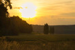 Feld mit Sonnenuntergang