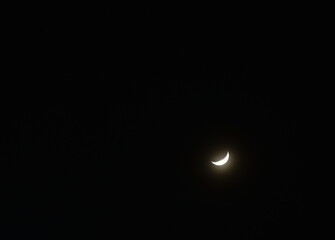 Wall Mural - half moon cover by cloud in night