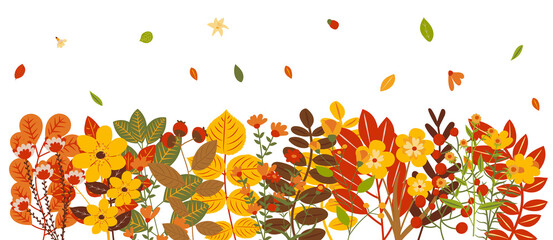 Wall Mural - autumn leaves and plants on white background vector