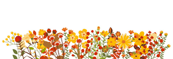 Wall Mural - autumn leaves and plants on white background