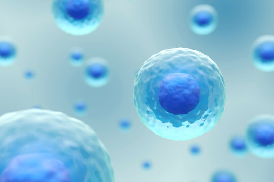 Fototapete - Cells membrane with nucleus are floating . Medical and science concept background . 3D render .