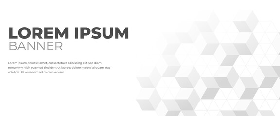 Wall Mural - Modern horizontal banner template design with abstract cube elements.