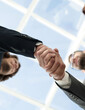 © ASDF - Successful business people handshake greeting deal concept