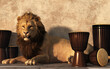 A male lion rests by a wall where several djembe djun drums.  The dark maned carnivorous big cat bears his teeth in a snarl and gives you a menacing look. 3D rendering