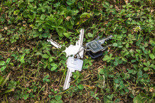 Bunch Of Home Keys Lying Lost On Grass