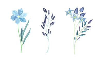 Wall Mural - Set of wild blue spring and summer flowers watercolor vector illustration