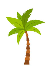 Sticker - Palm Tree Tropical Plant. Vector illustration