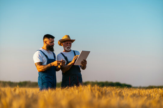 Farmers are standing in their wheat field. Grandfather is teaching his grandson about agriculture. They using digital tablet. Family business concept.