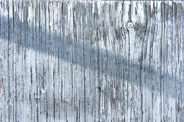 Wall Mural - Rough surface texture of old wooden board with scratches painted in white color. Rustic fence with natural pattern as background closeup