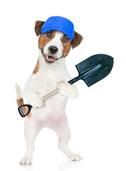 Poster - Jack russell terrier puppy farmer wearing blue cap holds shovel. isolated on white background