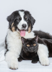 Poster - Sleepy Australian shepherd dog hugging black cat on a bed at home
