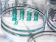© Connect Images - Close-up of petri dish test tubes and pipette in laboratory