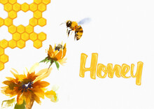 Watercolor Drawing Of Yellow Wildflowers With Honeycombs And A Bee. Inscription Honey. Textured Background For Advertising And Creativity.