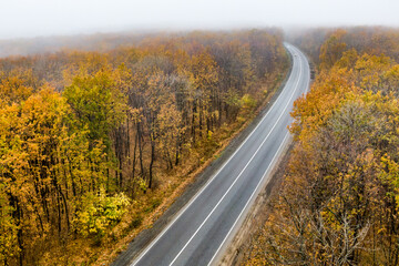 Wall Mural - empty asphalt road through the autumn forest into the mist. fog on the road