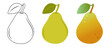 Pear. Doodle illustration of a pear. Pear vector illustration