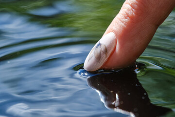 Female finger touches the surface of the water.The concept of cleanliness and care for nature. Finger with water drops. Art painting of nail. Shallow depth of field